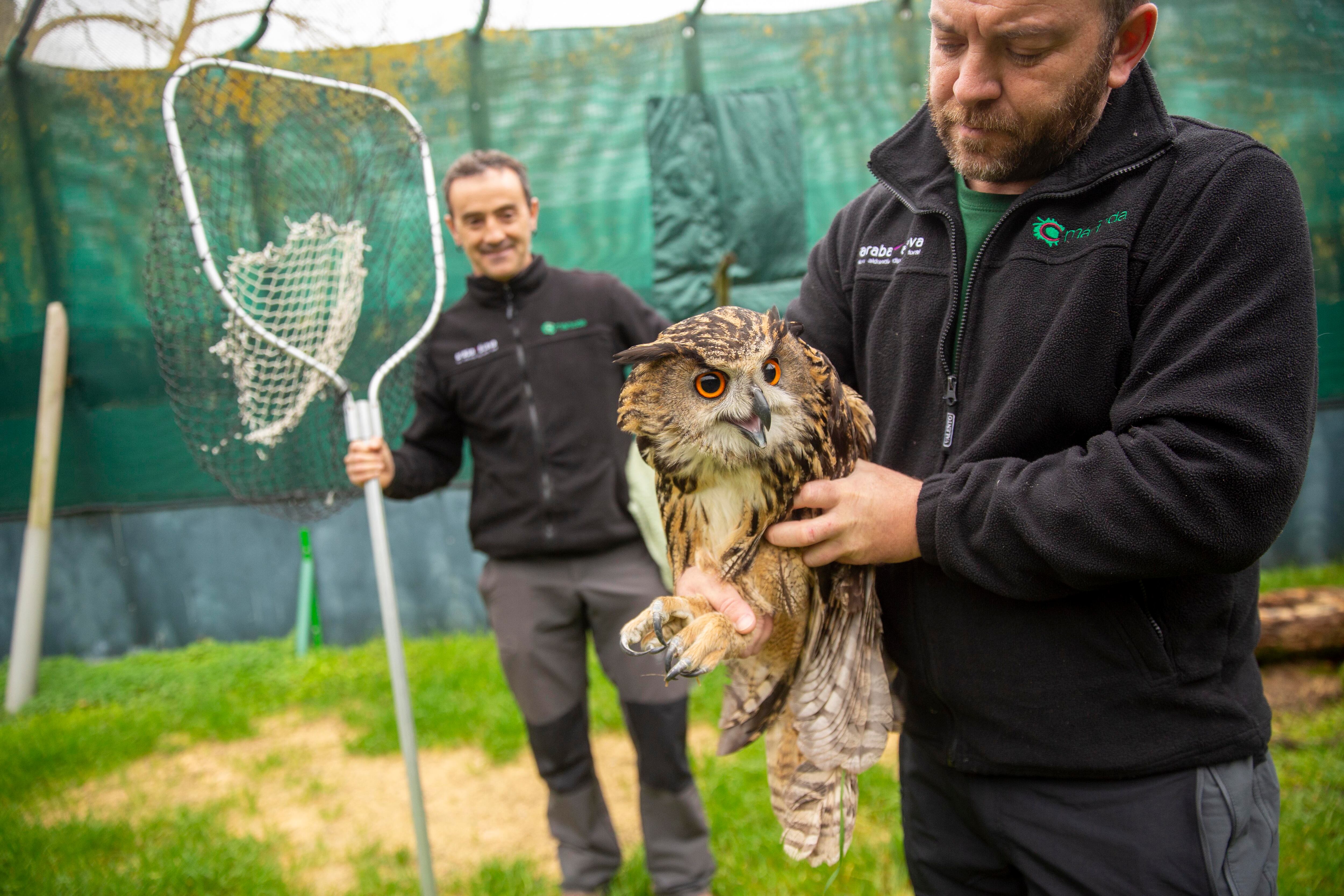 El hogar de fauna silvestre de ‘Pecas’ y ‘Bronqui’ cumple medio siglo