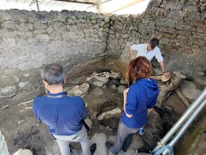 Varios arqueólogos observan los cuerpos hallados en el Regio IX de Pompeya.