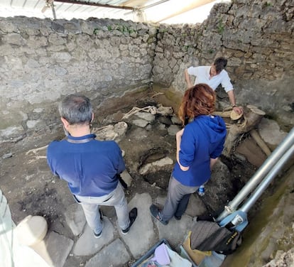 Varios arqueólogos observan los cuerpos hallados en el Regio IX de Pompeya.