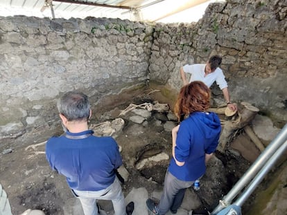 Varios arqueólogos observan los cuerpos hallados en el Regio IX de Pompeya.