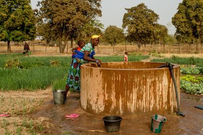 Donde parece que la vida no puede abrirse paso, existen unos espacios donde ésta bulle con toda su intensidad: son los jardines de mujeres, terrenos agrícolas divididos en huertos de unos 25 metros cuadrados que pertenecen a las casadas de la aldea. En la imagen, una madre saca agua del pozo en el jardín de Kolonia, una localidad de unos 700 habitantes perteneciente a la comuna de Djedougou.