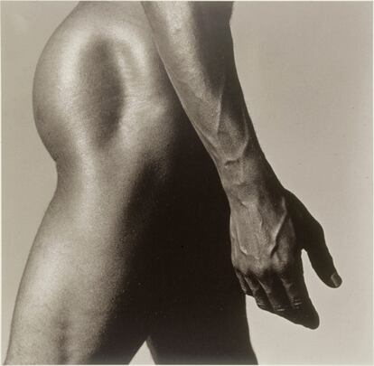 Robert Mapplethorpe, 'Alistair Butler', 1980. Plata en gelatina, 35,7 x 35,2 cm. TEA Tenerife Espacio de las Artes, Cabildo Insular de Tenerife. Depósito de la Colección Ordóñez-Falcón de Fotografía © Robert Mapplethorpe Foundation.