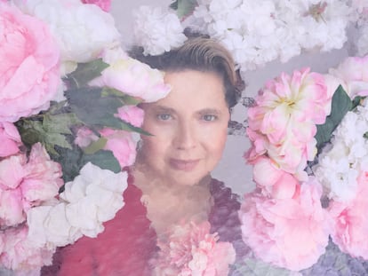 Calendario Pirelli 2026