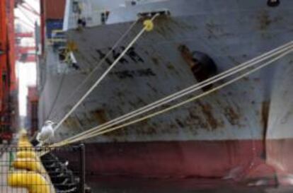 Una gaviota frente a un barco contenedor en un puerto. EFE/Archivo