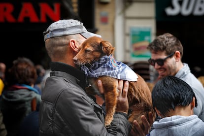 A todos los perros no les afecta el ruido de igual forma pero las residencias caninas cada año en Fallas