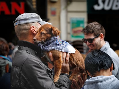 A todos los perros no les afecta el ruido de igual forma pero las residencias caninas cada año en Fallas