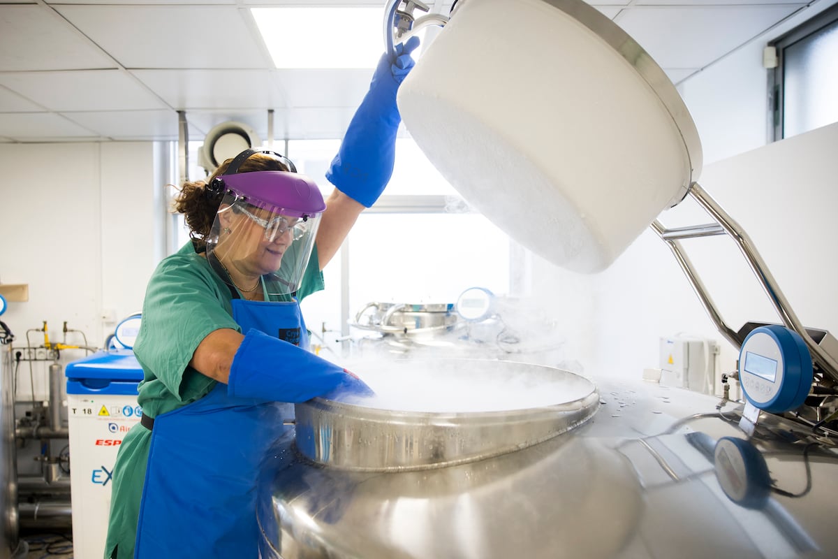 Banco de tejidos humanos de Galicia: el santuario helado de las segundas oportunidades que crece bajo un hospital infantil