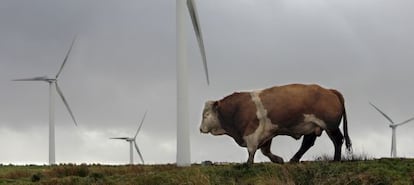 Molinos de energía eólica.