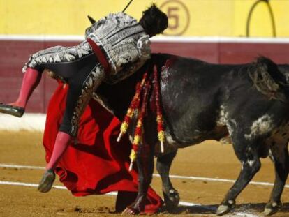 El torero Morante de la Puebla, en el momento de ser herido por su primer toro en Huesca.