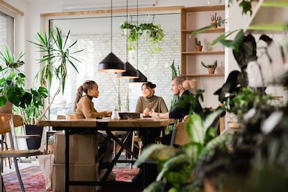 HR manager and businesswoman conducting a job interview of a vacancy at startup office