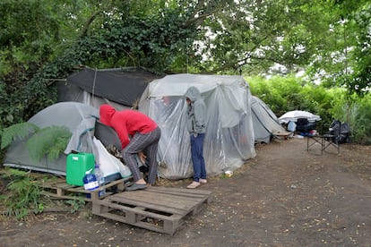 Los jóvenes migrantes han montado un campamento en una zona boscosa de Berango.