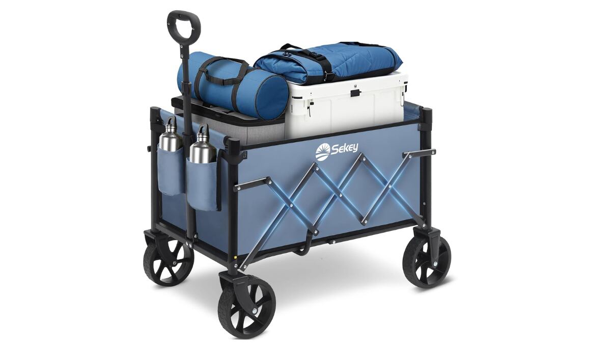 Carro plegable de 80 kg de capacidad y mango ajustable.