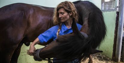 Luna Gutiérrez, veterinaria especializada en fisioterapia y rehabilitación equina.