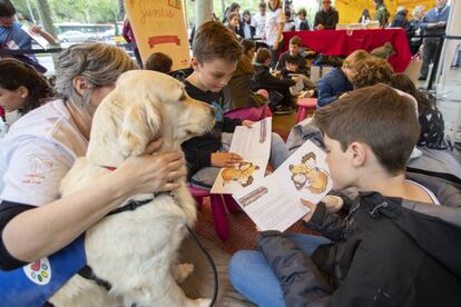 Uno de los perros de Purina y CTAC, durante la lectura de cuentos con niños, ayer. 