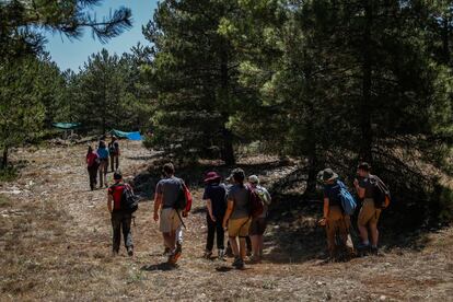 Los investigadores han vuelto este año a recorrer el camino que separa la puerta de entrada de la finca hasta las denominadas "catas", las zonas delimitadas y limpias de material vegetal del terreno donde se está llevando a cabo el estudio en el yacimiento de Las Hoyas de Cuenca, bajo tutela de la Universidad Autónoma de Madrid y colaboración de investigadores de ámbito internacional. 
