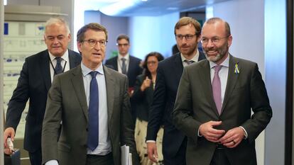 El presidente del PP, Alberto Núñez Feijóo, y el presidente del Partido Popular Europeo (PPE) y líder del Grupo Democristiano en el Parlamento Europeo, Manfred Weber, durante su encuentro este jueves en el Parlamento Europeo en Bruselas.