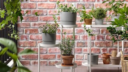 plantas de exterior, plantas de interior, flores y plantas ikea, macetas ikea, macetas, plantas y jardinería ikea, ikea plantas artificiales grandes, ikea plantas colgantes, ikea plantas exterior