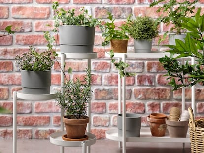 plantas de exterior, plantas de interior, flores y plantas ikea, macetas ikea, macetas, plantas y jardinería ikea, ikea plantas artificiales grandes, ikea plantas colgantes, ikea plantas exterior