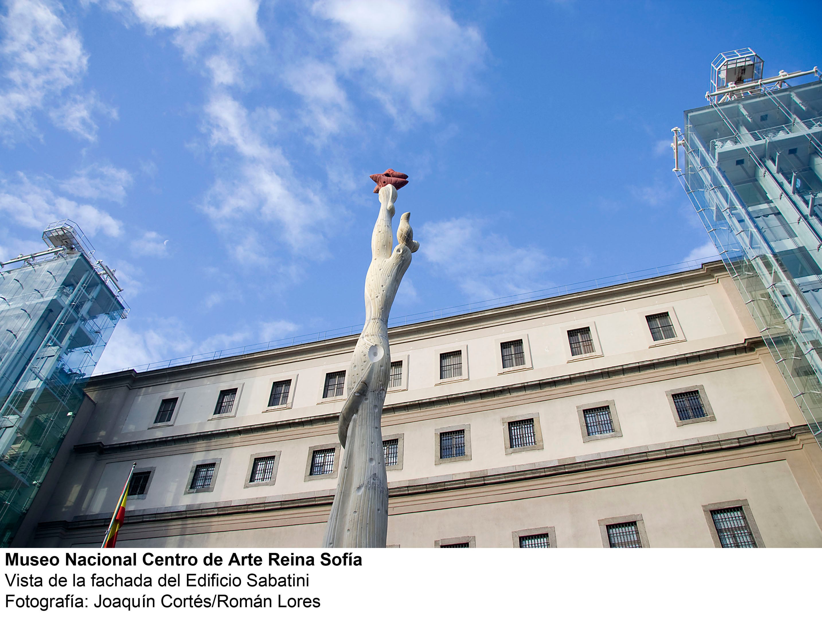 Asiste a una visita guiada por el Museo Reina Sofía