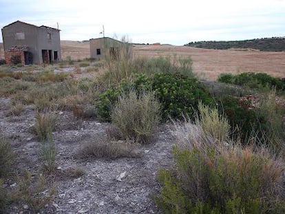 Terrenos donde se prev&eacute; la construcci&oacute;n de un dep&oacute;sito de residuos industriales en Ser&ograve;s