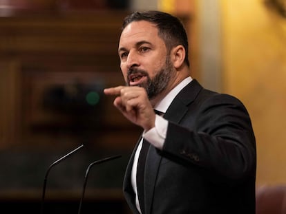 Abascal, este miércoles en el pleno del Congreso.