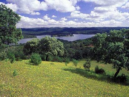 Paisaje primaveral en Sierra Morena: encinas, jaras y flores silvestres en el parque natural de Hornachuelos, en Córdoba. Al fondo, el embalse de Retortillo.