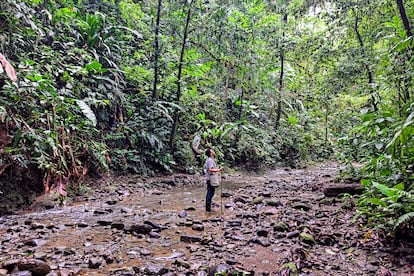 Glenn Jampol, responsable de la Red de Ecoturismo global.