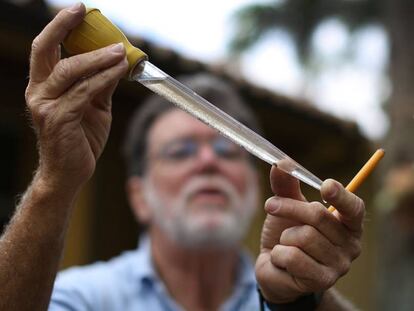Florida intensifica el control de mosquitos para evitar la expansi&oacute;n del zika.