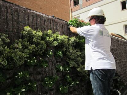 Instalación del jardín vertical del Hospital Sagrado Corazón de Sevilla.