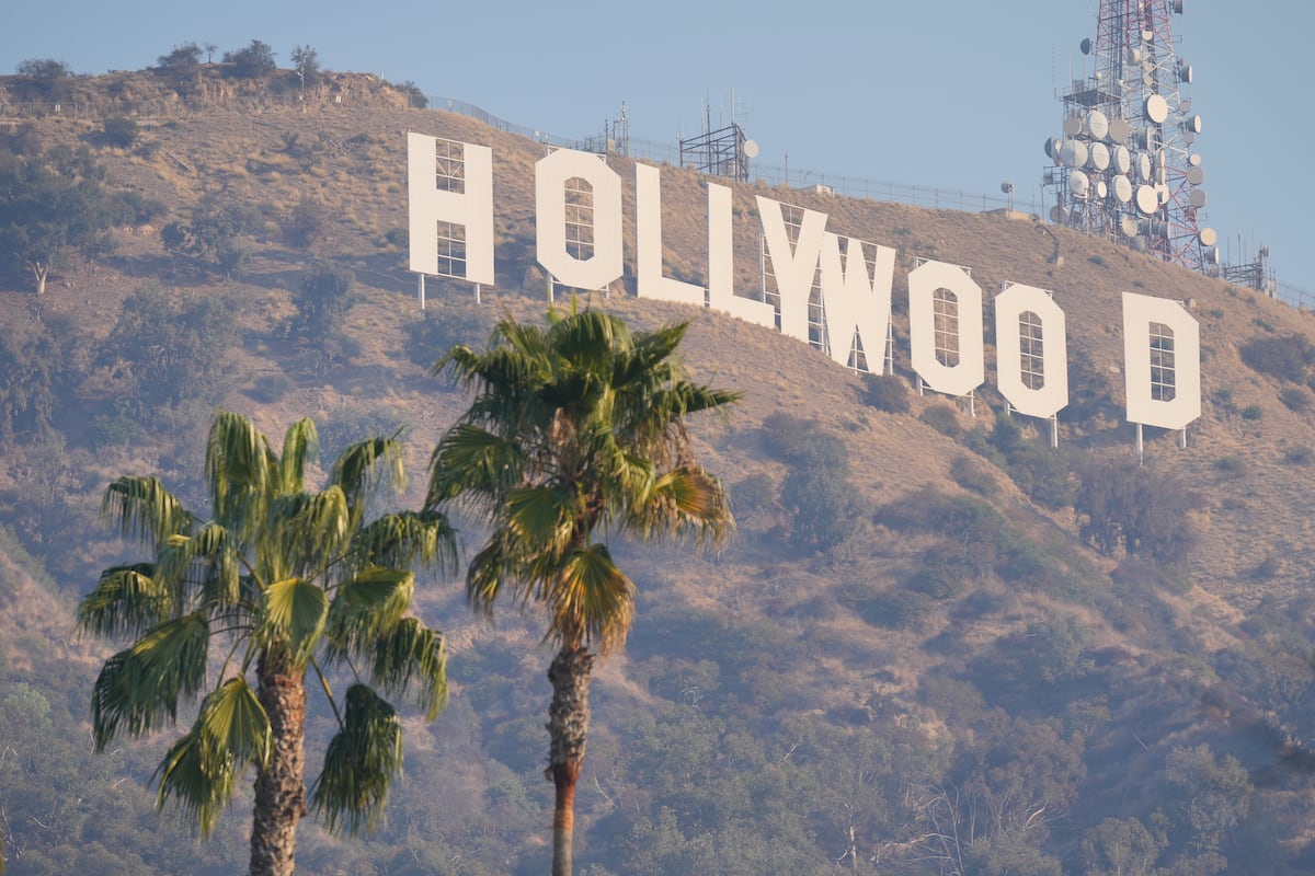 ¿Los Ángeles sin palmeras? El debate estético, climático y económico agita a California