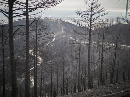 Incendios Navarra