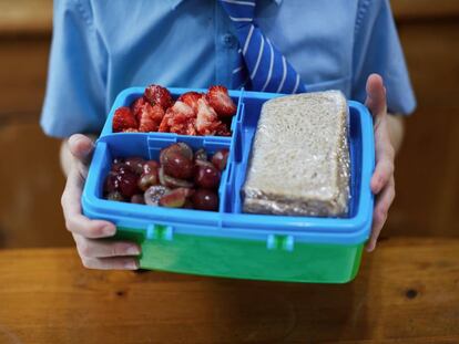 Un niño sujeta un 'tupper' con su almuerzo, con fruta y un sándwich, en una imagen de archivo.