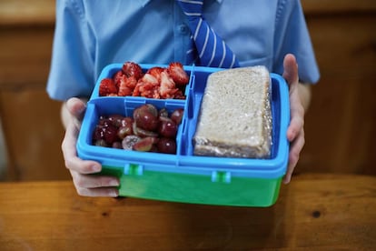 Un niño sujeta un 'tupper' con su almuerzo, con fruta y un sándwich, en una imagen de archivo.