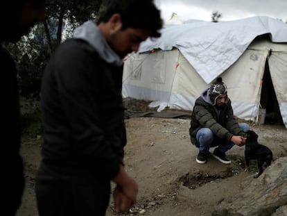 Un refugiado trata de calentarse y otro juega con un perro en el campo de Moria, a principios de diciembre.