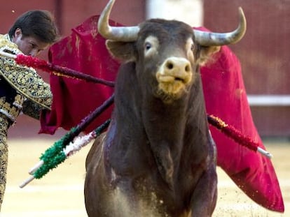 El diestro Julián López "El Juli", durante la corrida picassiana de la Plaza de Toros de la Malagueta.