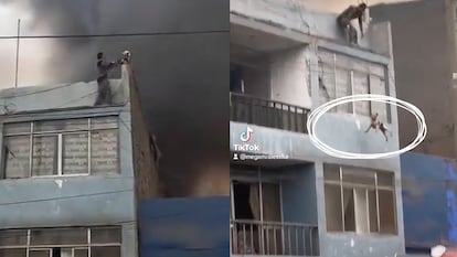 Rescate de perros en incendio en Lima, Perú, el 9 de junio 2023