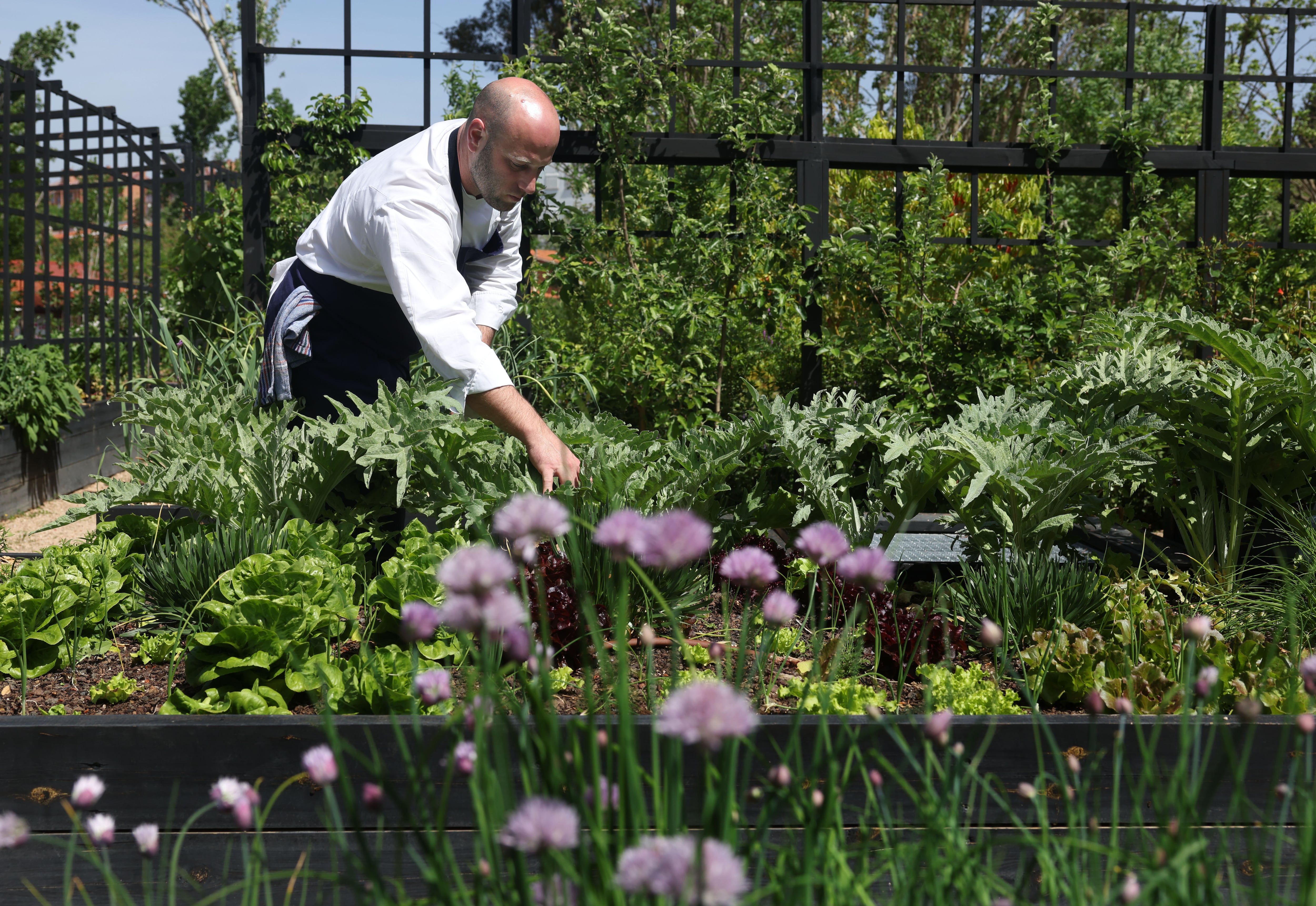 Urruti: cuando el menú del restaurante no lo elige quien cocina