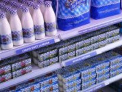 La Fageda, mucho más que yogures