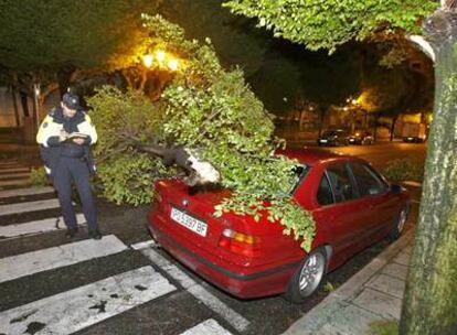 Efectos del temporal que azota Galicia desde esta madrugada. En la imagen, un polica local toma ntoa de un incidente en Vigo