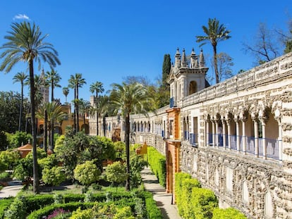 Palacio y jardines del Real Alcázar de Sevilla. 