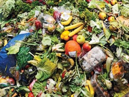 Contra el hambre, contra el despilfarro