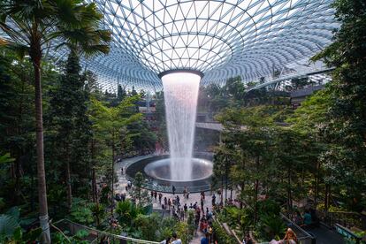 The Rain Vortex, la cascada interior en el aeropuerto Jewel Changi de Singapore. 