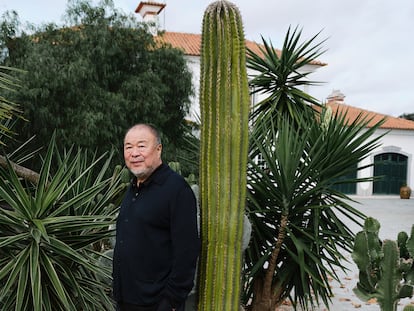 Ai Weiwei