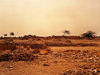 'Graveyard' (2001), fotografía de Richard Billingham.