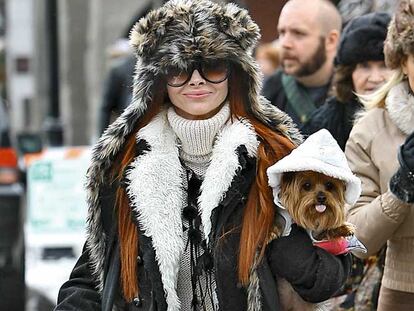 Mascotas ‘deluxe’: Estilismo para canes refinados