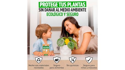 Trampa para moscas sobre fondo blanco.