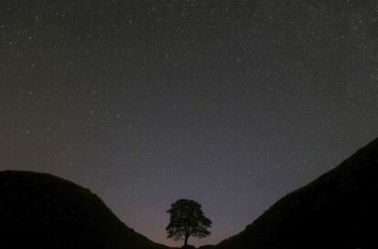 Lluvia de Perseidas sobre Sycamore Gap, en el Parque Nacional de Northumberland.