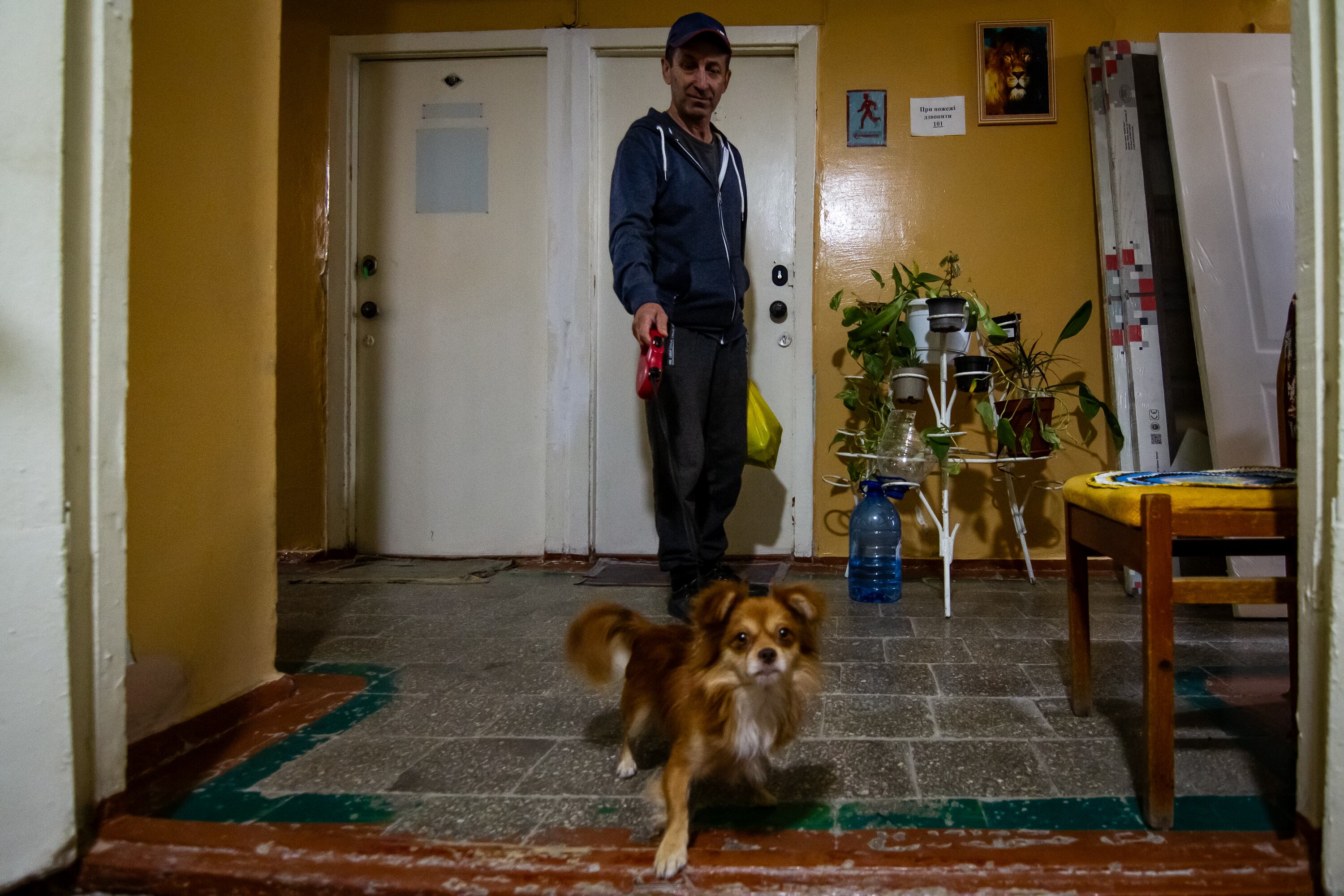 Ginger, a cadela de Ludmila Kostenko, também mora no centro para deslocados internos com seu dono. É o único animal que a mulher conseguiu salvar da sua fazenda quando foi atacada pelo exército russo. 