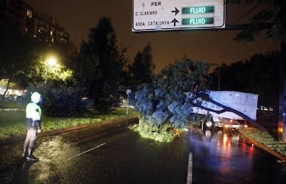 A local police office looks on as a tree is removed from a street in Valencia.