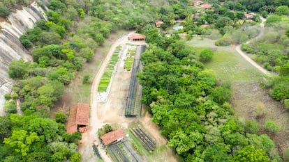 El Instituto Terra, fundado por Lélia Wanick y Sebastião Salgado, en una imagen de 2019.   